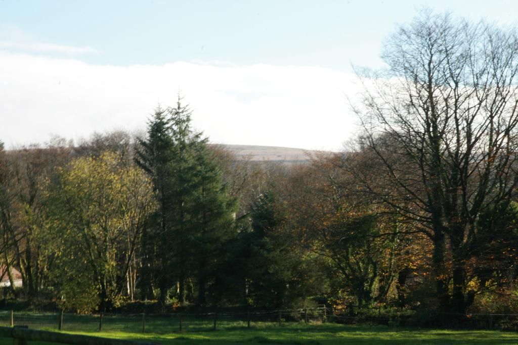Lydford House Hotell Exteriör bild